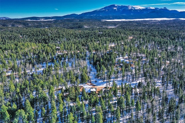 drone / aerial view with a mountain view