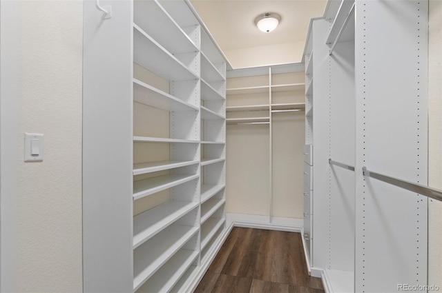 12940 Jasmine St Unit A, Thornton, CO 80602 - walk in closet featuring dark wood-type flooring