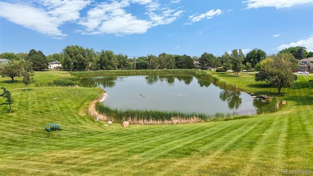 2960 E Yarrow Cir, Superior, CO 80027 - photo 47