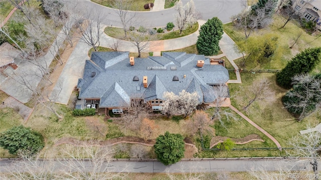 bird's eye view