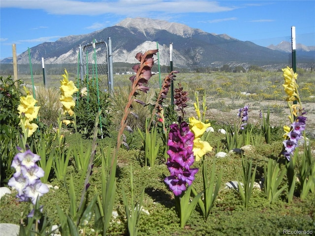 view of mountain feature