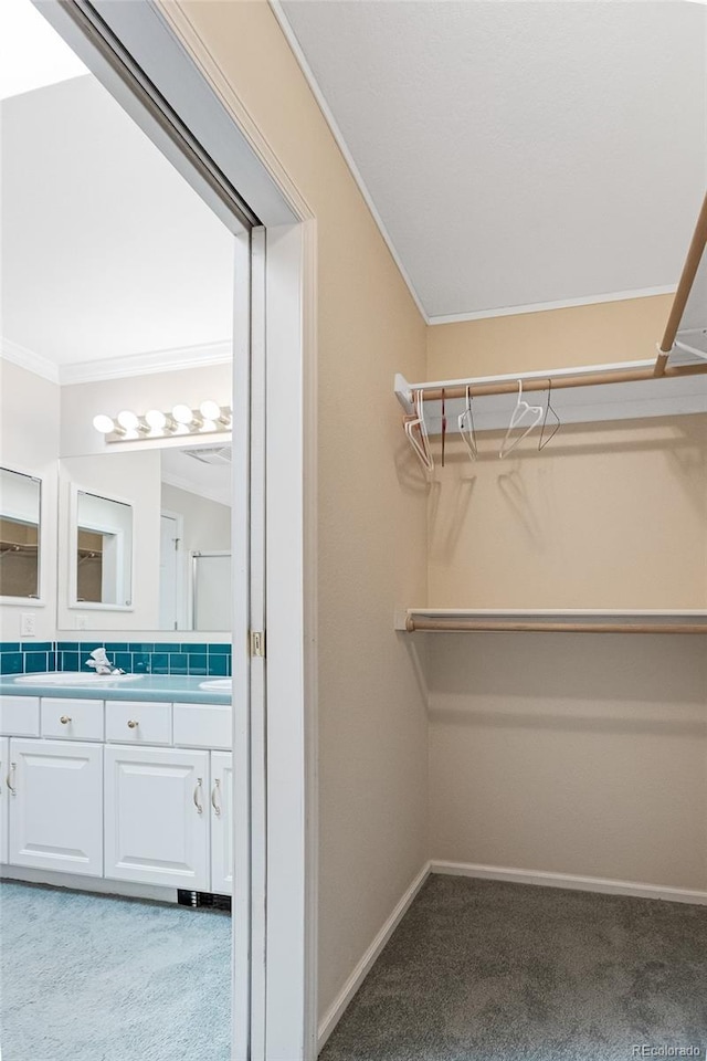 20155 Hideout Ln, Nathrop, CO 81236 - walk in closet featuring light colored carpet