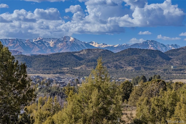 249 Valle Escondido Dr, Durango, CO 81303 - view of mountain feature
