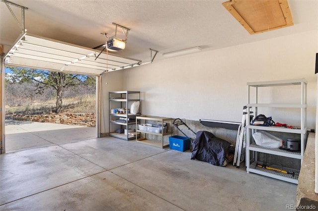 249 Valle Escondido Dr, Durango, CO 81303 - garage featuring a garage door opener