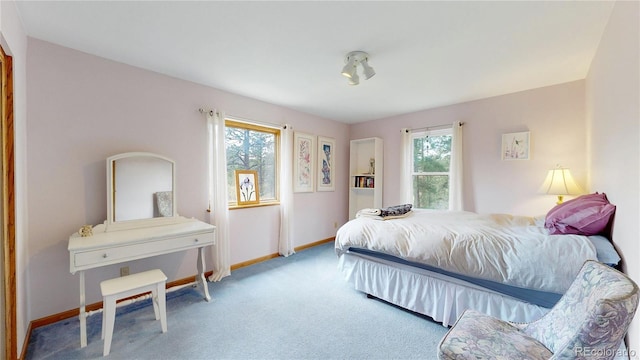 2545 N State Highway 67, Sedalia, CO 80135 - bedroom featuring multiple windows, carpet, and baseboards
