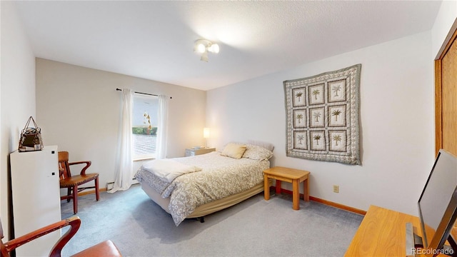 2545 N State Highway 67, Sedalia, CO 80135 - view of carpeted bedroom
