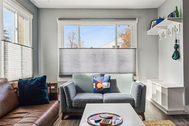 living area featuring wood finished floors