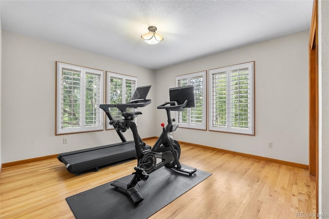 157 Mc Intyre Cir, Golden, CO 80401 - photo 20