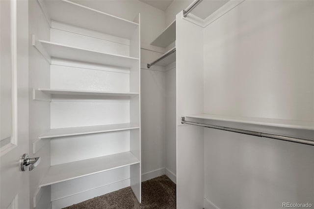 spacious closet with carpet floors