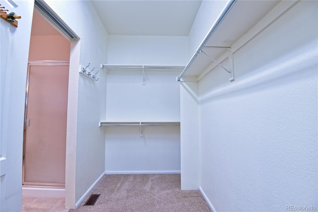 spacious closet featuring light carpet