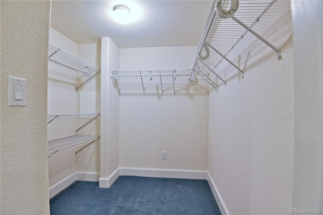 spacious closet with carpet