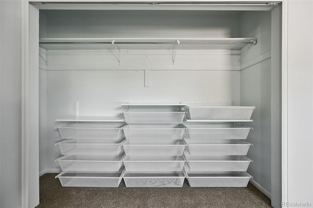 920 44th Avenue Ct Unit 30, Greeley, CO 80634 - view of closet