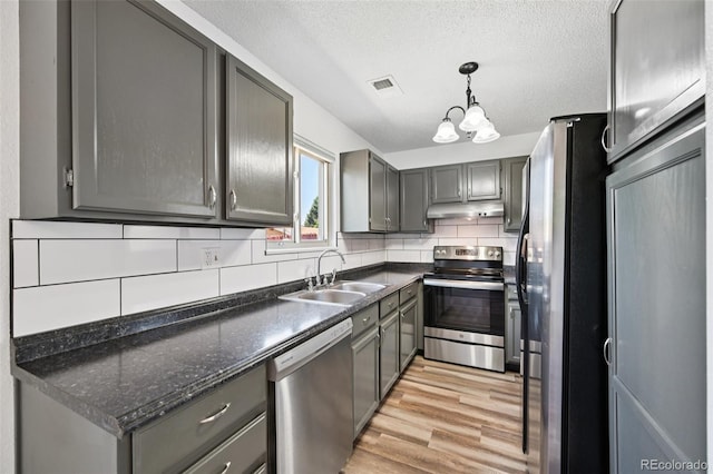 920 44th Avenue Ct Unit 30, Greeley, CO 80634 - kitchen featuring appliances with stainless steel finishes, under cabinet range hood, gray cabinetry, light wood-style flooring, and decorative backsplash