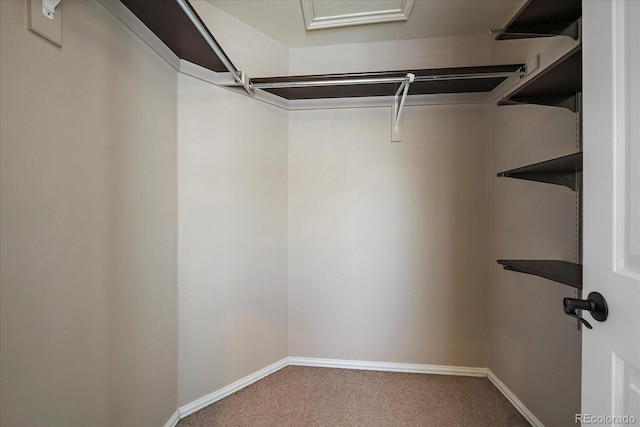 walk in closet featuring carpet flooring