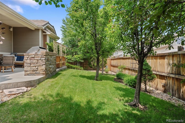 10182 Bristleridge St, Parker, CO 80134 - view of yard featuring a patio area