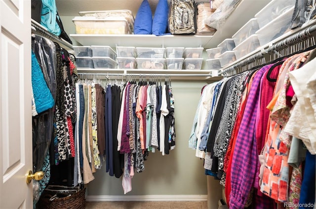 spacious closet featuring carpet floors