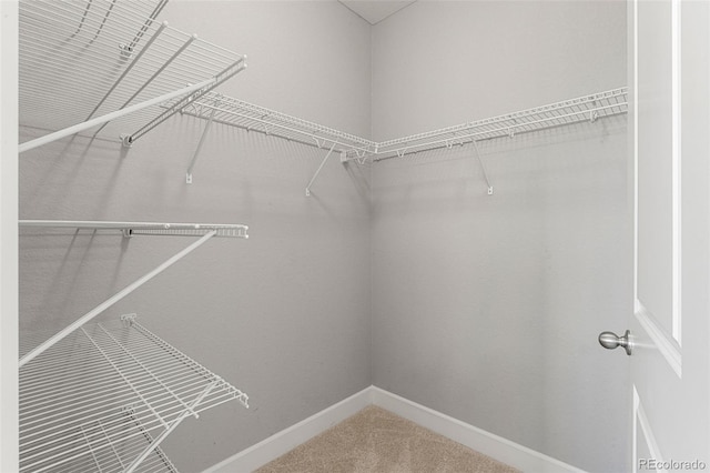 7606 S Valleyhead Ct, Aurora, CO 80016 - walk in closet with carpet floors