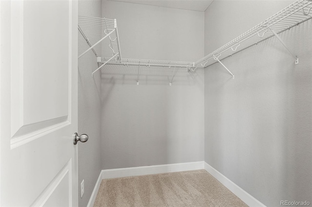 7606 S Valleyhead Ct, Aurora, CO 80016 - walk in closet featuring carpet flooring