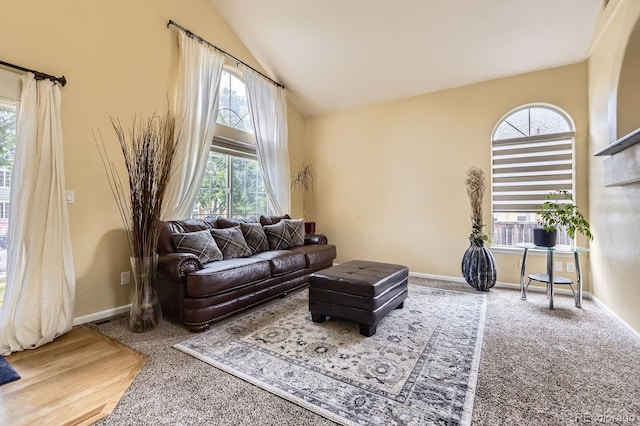 5329 Morning Glory Pl, Highlands Ranch, CO 80130 - photo 5