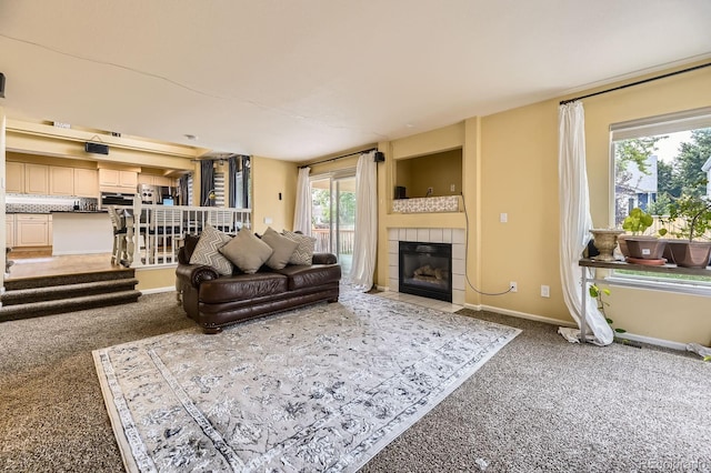 5329 Morning Glory Pl, Highlands Ranch, CO 80130 - photo 13