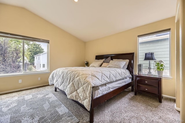 5329 Morning Glory Pl, Highlands Ranch, CO 80130 - photo 14
