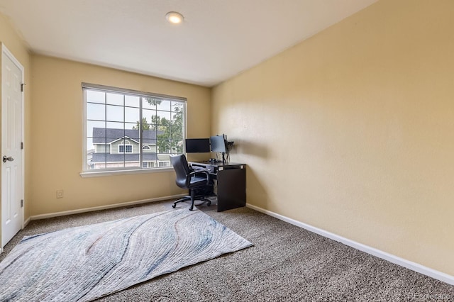 5329 Morning Glory Pl, Highlands Ranch, CO 80130 - photo 19