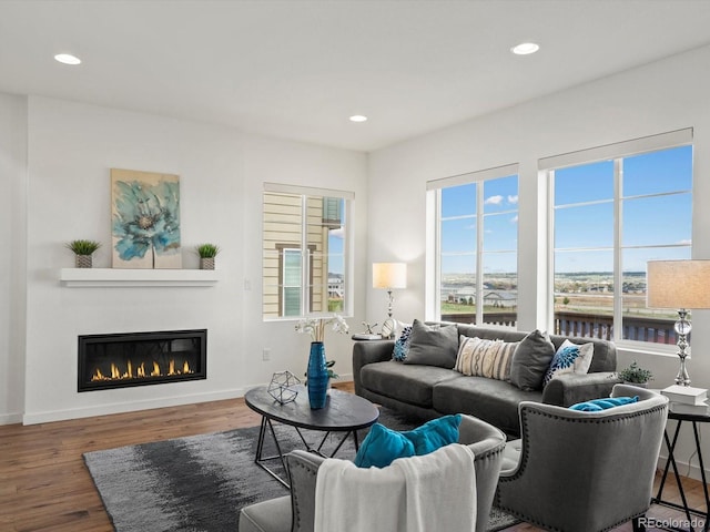 14710 Domino Dr, Parker, CO 80134 - living room featuring a glass covered fireplace, wood finished floors, recessed lighting, and baseboards