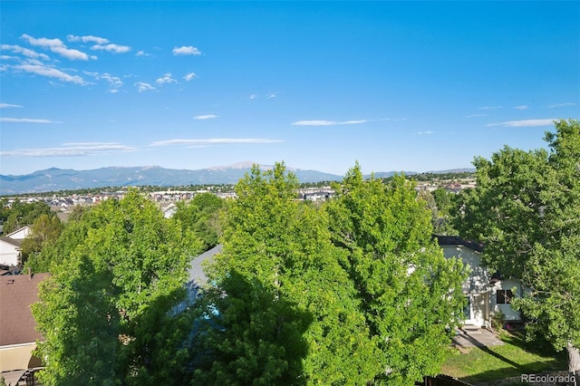 6510 Packsaddle Ct, Colorado Springs, CO 80922 - photo 4
