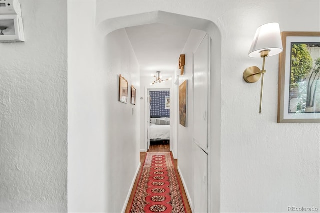 2960 N Steele St, Denver, CO 80205 - photo 12