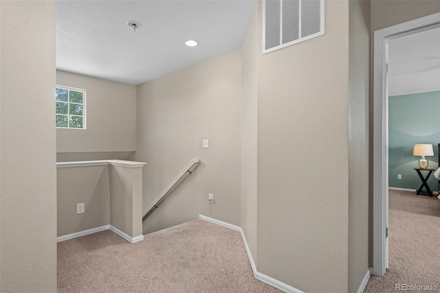 11037 Oswego St, Commerce City, CO 80640 - photo 12