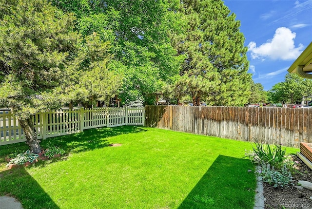 2700 Stanford Rd Unit 25, Fort Collins, CO 80525 - photo 38
