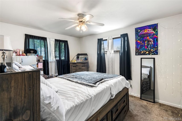 6336 W 71st Pl, Arvada, CO 80003 - bedroom with multiple windows, carpet, and ceiling fan
