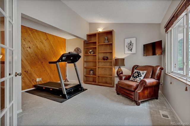 1540 Fawnwood Rd, Monument, CO 80132 - workout area with lofted ceiling, carpet flooring, wood walls, baseboards, and french doors