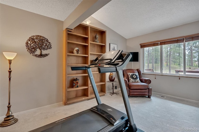 1540 Fawnwood Rd, Monument, CO 80132 - workout area with a textured ceiling, carpet floors, lofted ceiling, and baseboards