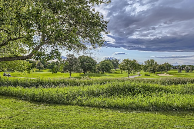 714 Skywalker Pt, Lafayette, CO 80026 - view of green lawn