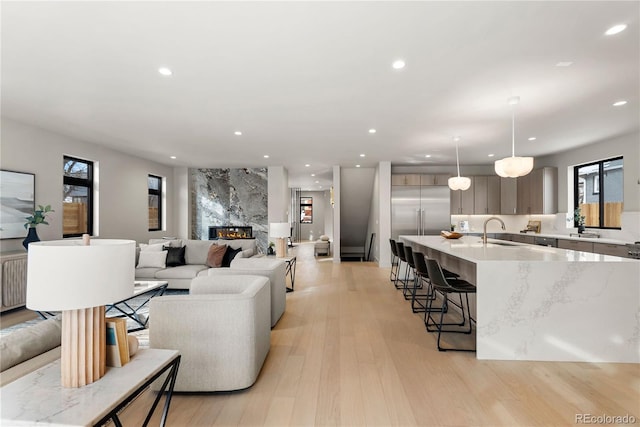 living room featuring a premium fireplace, sink, and light hardwood / wood-style flooring