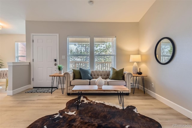 living room with light hardwood / wood-style flooring