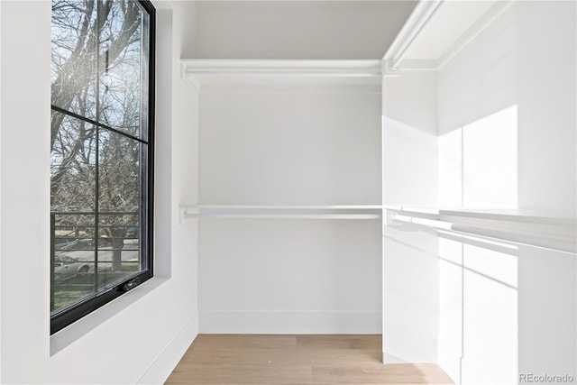 walk in closet featuring light hardwood / wood-style flooring