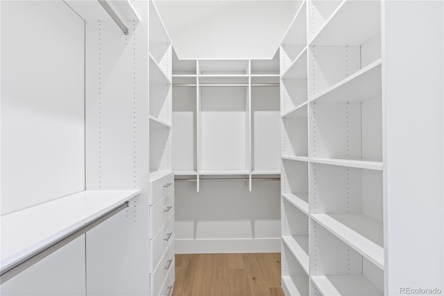 spacious closet with light hardwood / wood-style flooring