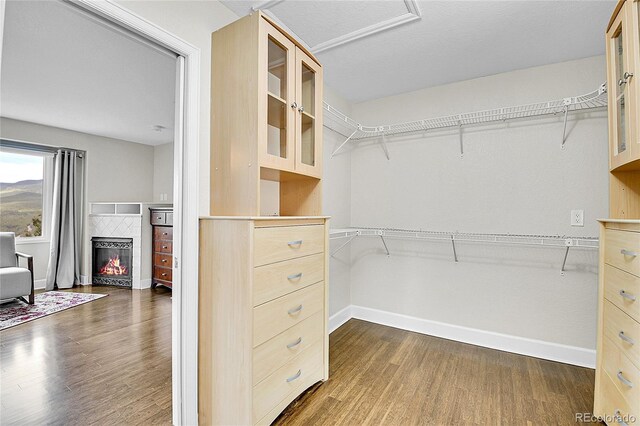 33633 Elk Run, Evergreen, CO 80439 - walk in closet featuring dark wood-type flooring and a tiled fireplace
