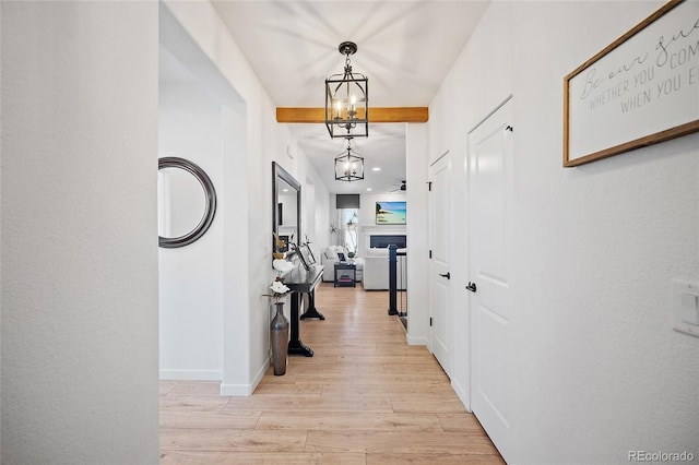 1485 Captiva Beach Ln, Monument, CO 80132 - hall with light wood-style flooring, recessed lighting, and beam ceiling