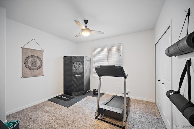 1485 Captiva Beach Ln, Monument, CO 80132 - workout room with ceiling fan and carpet floors