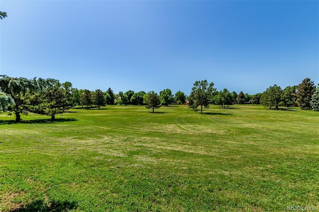 4676 S Dillon Ct Unit G, Aurora, CO 80015 - view of grassy yard