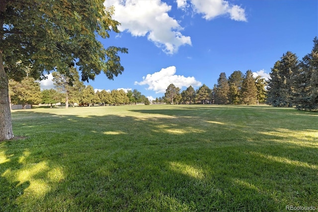 3245 S Richfield St, Aurora, CO 80013 - photo 34