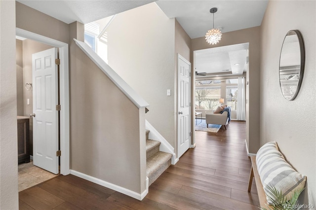 foyer entrance featuring dark hardwood / wood-style floors and a notable chandelier