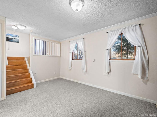 basement featuring crown molding, carpet flooring, and a textured ceiling