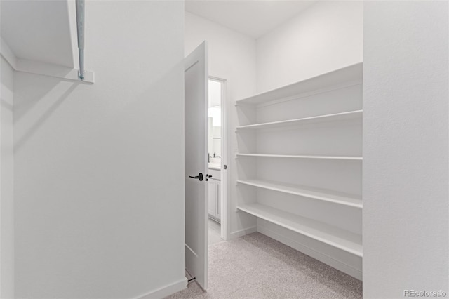 walk in closet featuring carpet floors