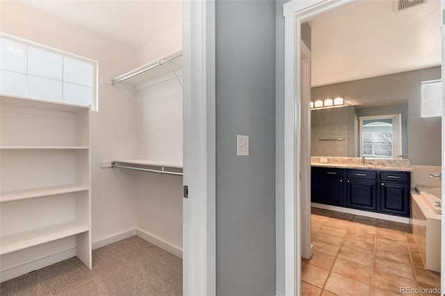 spacious closet with a sink