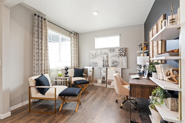 office featuring wood-type flooring