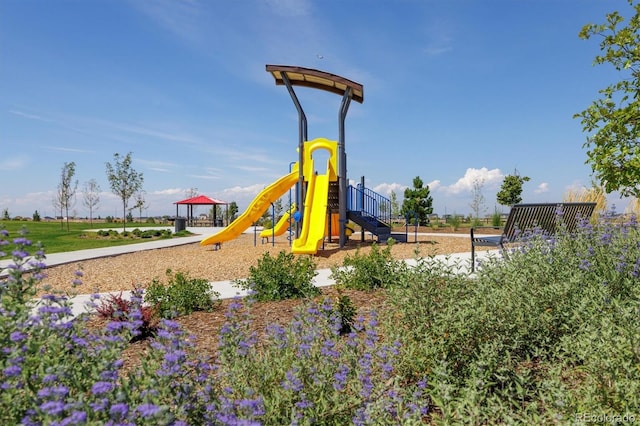 view of jungle gym